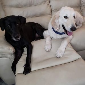 Meet your Posher, Karen